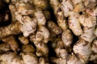 Ginger/Fresh Ginger/Air-Dried Ginger