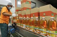 REFINED RBD PALM OLEIN OIL CP10 CP8 CP6 SPECIFICATIONS PRICE