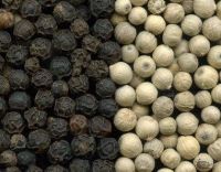 Vietnamese Black Pepper / White Pepper Wholesale