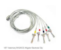 EKG 100v