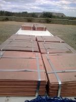 Copper Cathodes