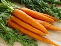 Carrot