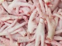 Processed Grade AAA Frozen Chicken Feet