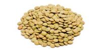 GOOD QUALITY LENTILS