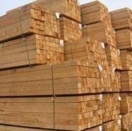 Long Hardwood Lumber and Sawn Lumber &amp; Construction Timber , ntire Logs of Trees in Nature for Imported Wood Raw Materials , Lumber/Sawn Timber/Acacia/Hardwood/Wood