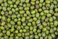 mung beans