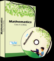 Class 10 Mathematics - CBSE Board DVD - LetsTute