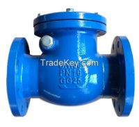 DIN Swing Check Valve