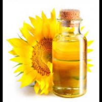 Sunflower Oil