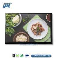 TSD TSLCD 10.1 Inch Tft