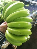 Cavendish banana