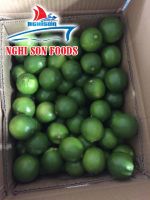 FRESH SEEDLESS LIME WHATSAPP +84986365621