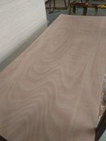 Plywood door skin