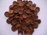 Supplying Dried Areca Nuts For Export