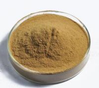 Brewers Yeast Powder