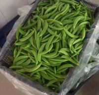 Sugar Snap Peas 