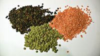 lentils