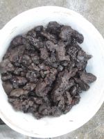 PLATINUM CONCENTRATE