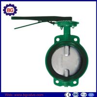 Cast Iron Body Stainless Steel Disc Butterfly Valve