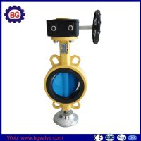 Wafer Body Style Butterfly Valve