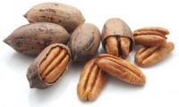 Pecan Nuts