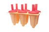 ice-cream stick popsicle  plastic mould