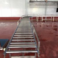 ROLLER CONVEYOR, LIVE BIRDS HANDLING, POULTRY
