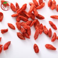  Certificate Organic Goji Berry