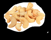 Best Quality raw Cashew for sale WW320