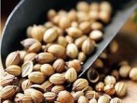 Coriander Seeds