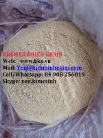BREWER DRIED GRAIN RICH PROTEIN FOR
