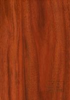 Decor Paper, Melamine Paper, MDF, Plywood