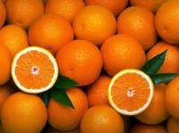 Fresh Natural 100% Organic Orange