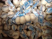 Jinxiang Shandong Fresh Normal White Red Garlic 4.5cm-6.0cm Loose Packing in Mesh Bag