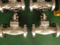 Rays Globe Valve