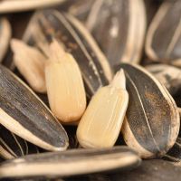 Raw Sunflower Seeds from Inner Mongolia