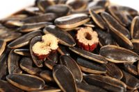 Red Date Flavor Roasted Sunflower Seeds for buyers