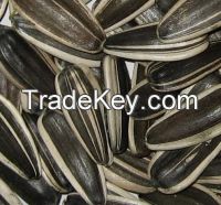 Roasted Fragrant Flavor Organic Sunflower Seeds