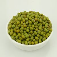 High Quality Green Mung Beans With