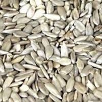 Sunflower Kernels