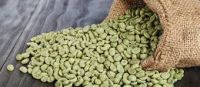 ROBUSTA GREEN COFFEE BEAN