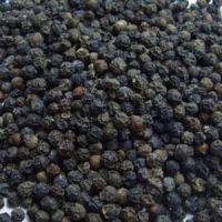 Organic White Pepper Black Pepper Seeds