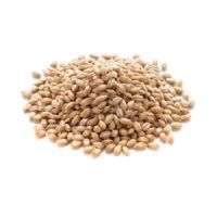 Pearl barley