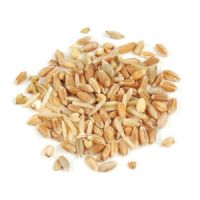 Barley groats