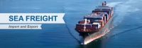 Sea Freight Cargo Services