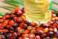 crude and Refined palm oil for sell