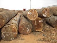 Tali Timber Wood Logs for Sale