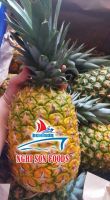 FRESH PINEAPPLE (Ms Ruby +84 342828779)