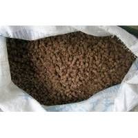 Palm Kernel shell