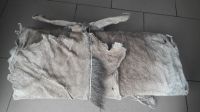 Wet/Dry Salted Donkey/Goat Skin /Donkey / Salted Cow Hides